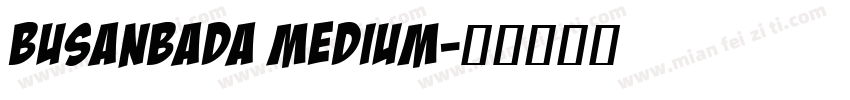 BusanBada Medium字体转换